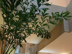 -A+阿加汤宿(大悦城店)