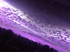 -济南方特东方神画