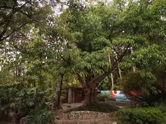 -深圳国际园林花卉博览园