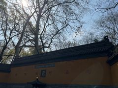 -灵谷景区