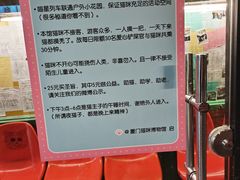 -猫咪博物馆(顶澳仔猫街店)
