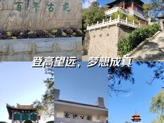 -龙沙公园