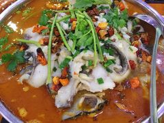 -全乐鱼馆·淳牌有机鱼直营店