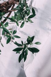 点击看大图 -Sunny喜铺婚礼定制·求婚策划
