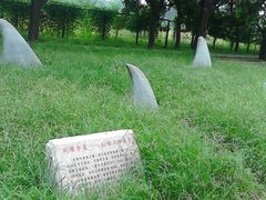 -北京麋鹿生态实验中心