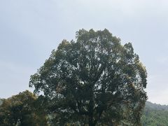 -巨石山景区