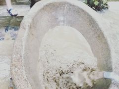 -100蛋泥浆浴