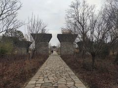 -广富林郊野公园