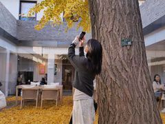 -自如ZSPACE四合院艺术餐厅