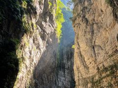 -武陵山森林公园