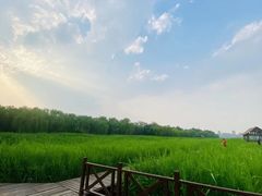 -永定河休闲森林公园