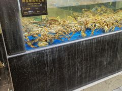 -神洲四海大酒楼(王府井澳门中心店)