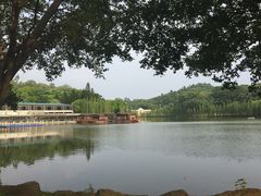 -三水森林公园