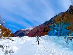 -叠溪松坪沟景区