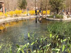 -白水寺森林公园