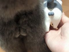 -美迦爱-牙专科·兔科·骨科诊疗中心(北苑店)