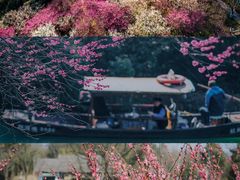 -杭州植物园