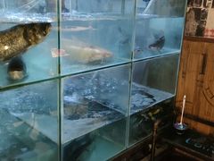 水产区-蛙鱼道美蛙鱼自助火锅(新耍都店)