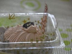 -凯司令西饼店(东建路店)