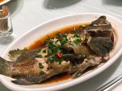 -洲晓鲜·舟山海鲜大排档(朱家尖风景区店)