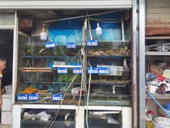 -阳江餐厅·30年老字号·粤菜海鲜大排档