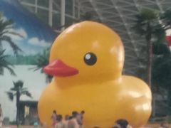 -天山海世界·米立方