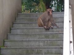 -苏州环秀晓筑养生度假村
