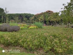 -昆山城市生态森林公园