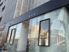 -BLACKSWAN黑天鹅(环球店)