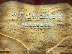 -景德镇民窑博物馆
