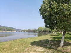 -长广溪湿地公园