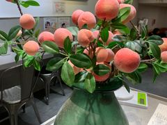 -小豆海棠(嘉兴路店)