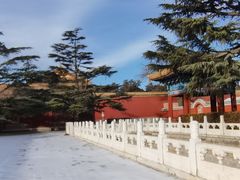 -北京市劳动人民文化宫(太庙)