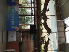 -北京鹿世界主题园