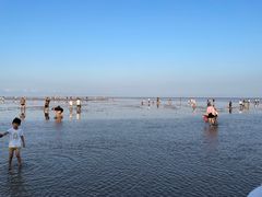 -南汇嘴观海公园