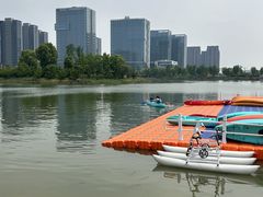 -金沙湖公园