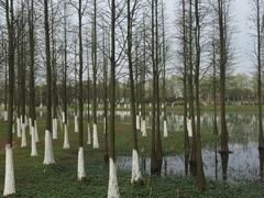 -艾溪湖湿地公园