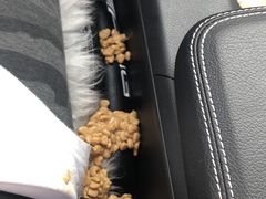 -翊宠yipet猫狗购宠庄园犬舍•猫舍