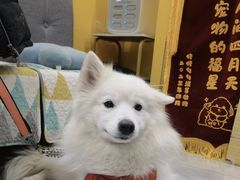 -瑞派·爱瑞可动物医院·口腔专科(广华新城分院)