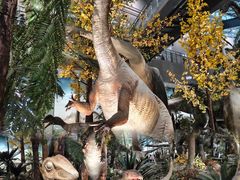 -湖南省地质博物馆