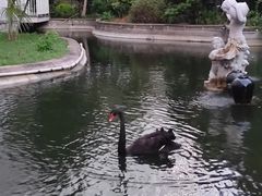 -园林格兰云天大酒店-太极名厨中餐厅