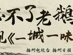 -正宗忘不了老鹅(梅岭店)