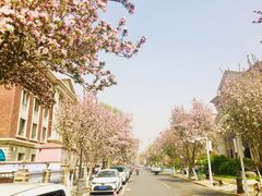 -天津五大道文化旅游区