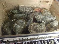 -蚝堡海鲜·威海菜·海肠捞饭·烧烤·亚洲吃蚝公司(幸福门店)