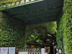 -华侨城湿地公园