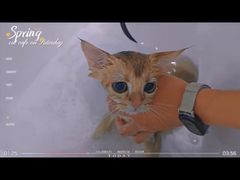 -BABIT巴比特宠物(MOMOPARK店)