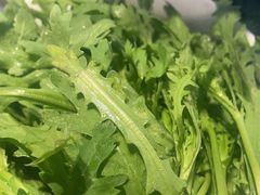 -蒙都43°9羊火锅·赤峰美食(宁城店)