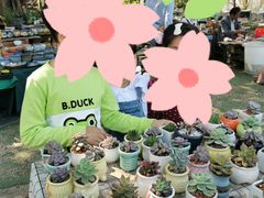 -广东花都香草世界旅游度假区