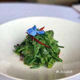 外滩探店｜环境雅致适合聚餐的粤菜馆