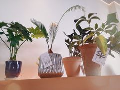 -fishtank鱼缸咖啡(三山街店)